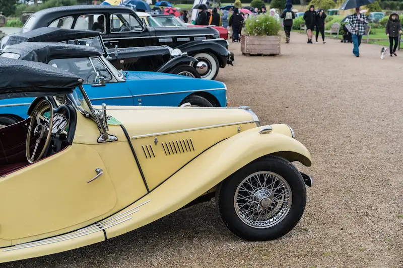 A row of cars displayed at a Trentham Gardens Classic Car Meet